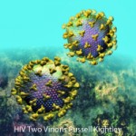Two HIV Particles