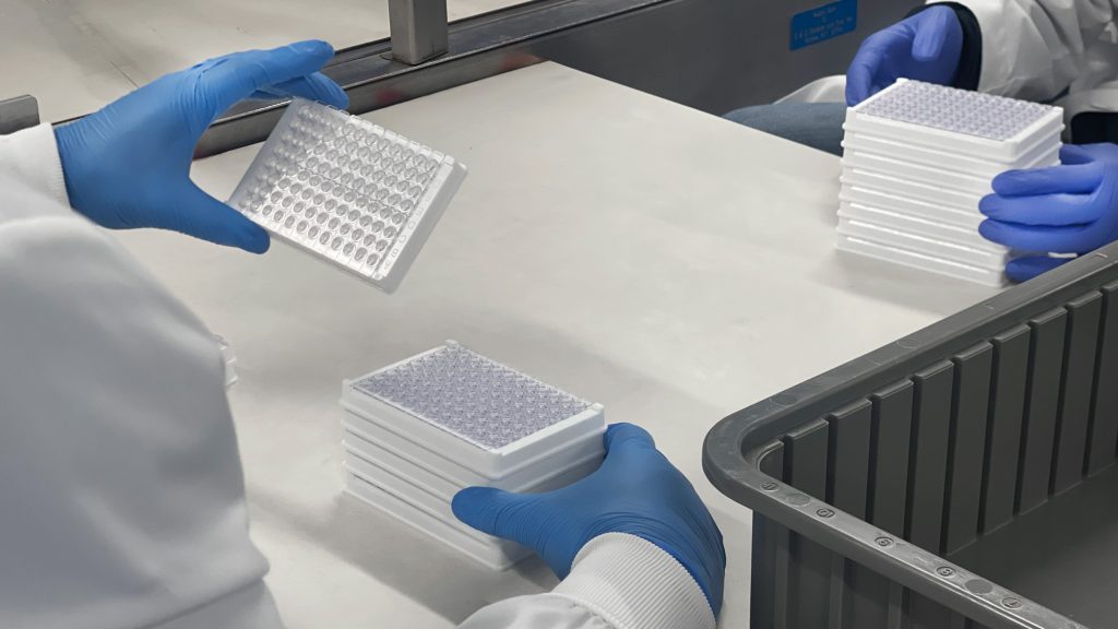 Scientists performing inspections on microplates