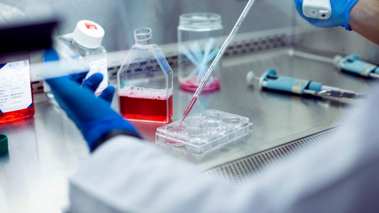 female lab technician performing cell culture